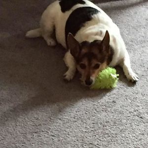 Meet your Posher, Bronwyn